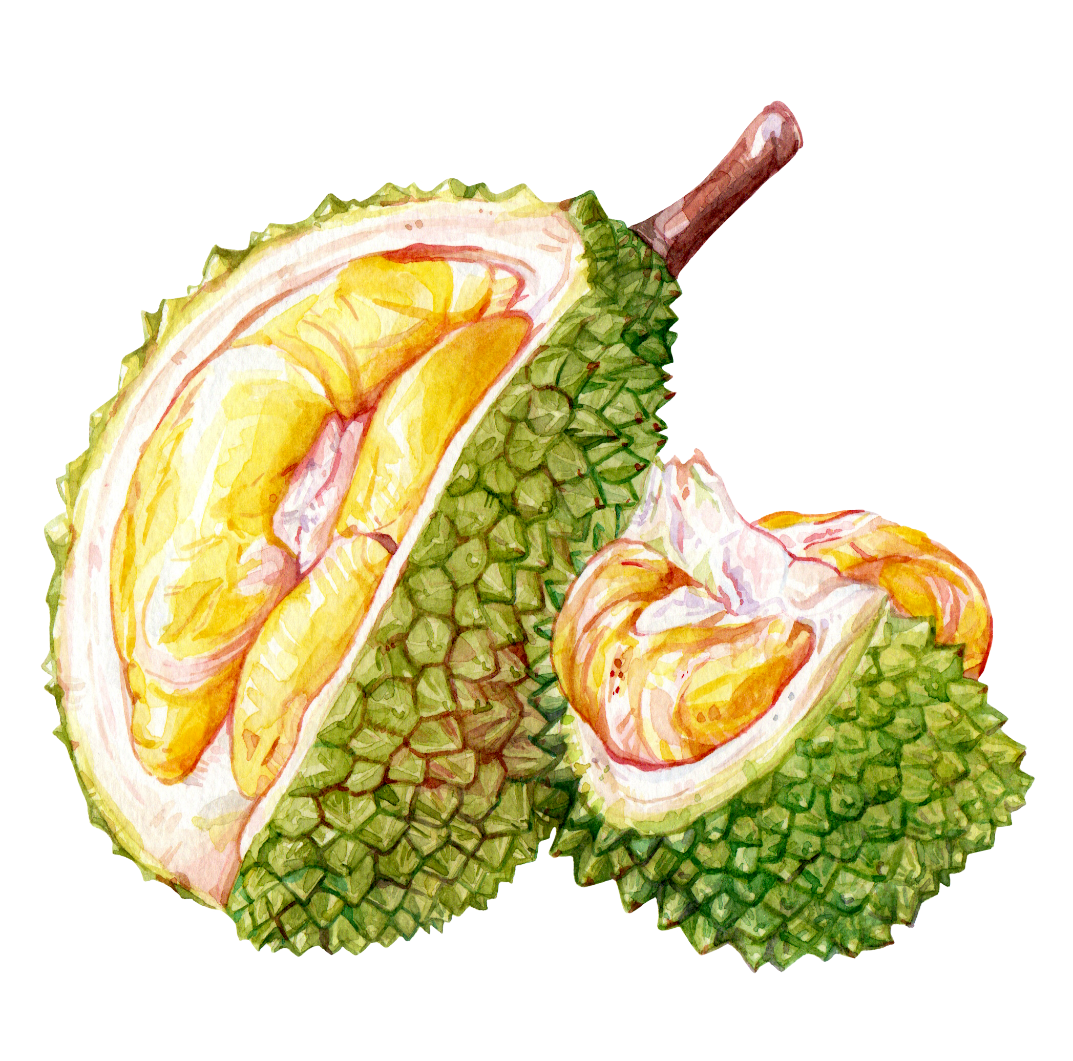 Durian