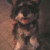 Mattie S.
