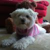 Mindy M.