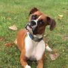 Bailey H.
