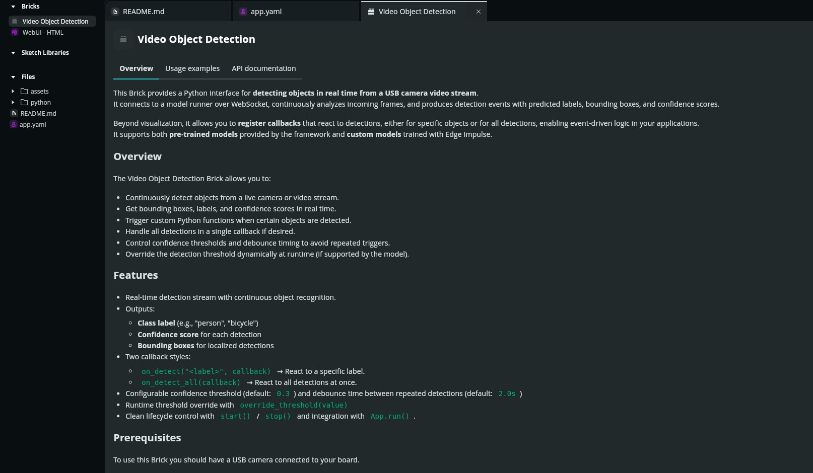 App Labs Video Detection Window