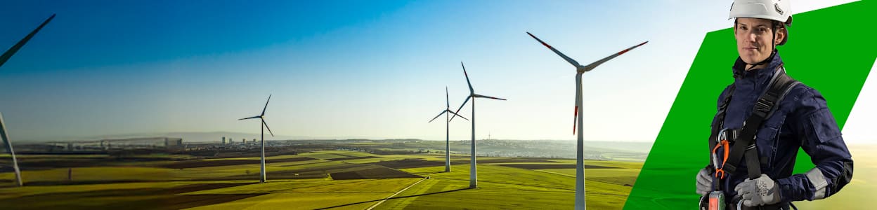 RS - Sektorn för förnybar energi.