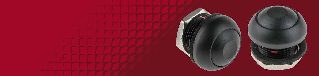 Push Button Switches