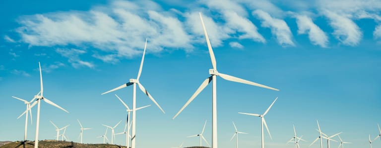 Éolienne dans un champ