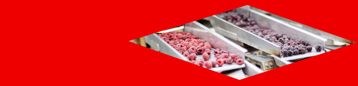 Digitalizing Food Production with ABB