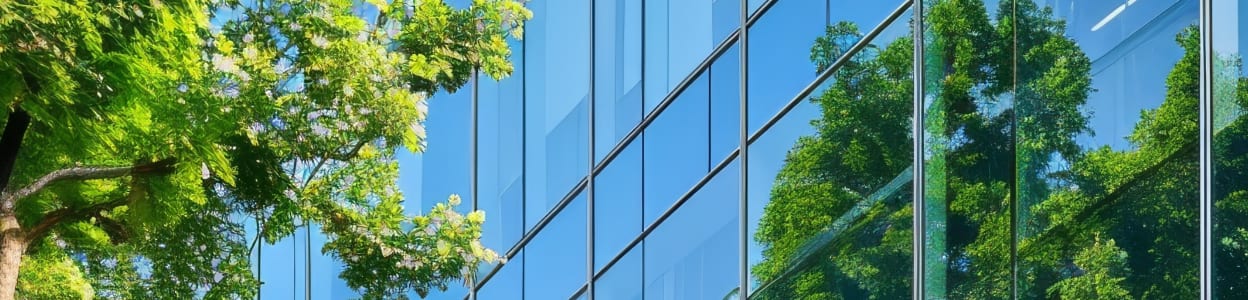 arbre vert devant building de verre