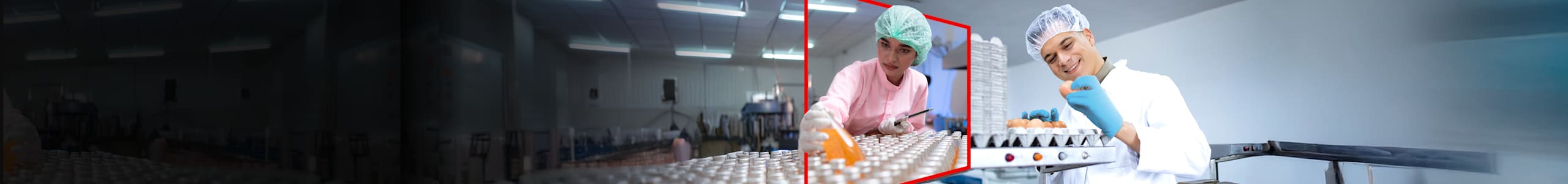 Scopri il Report sul Food & Beverage 2025