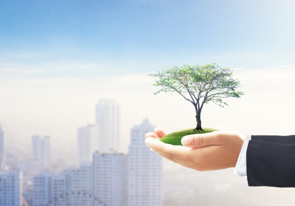 La digitalizzazione degli acquisti: una risposta alla responsabilità sociale di impresa