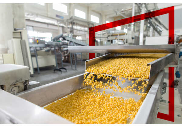Food and Beverage Industry
