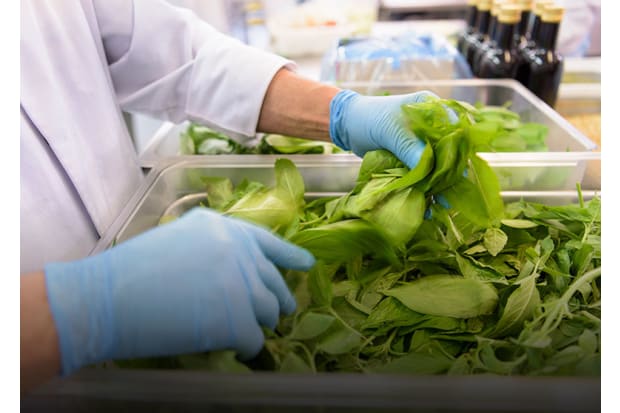 Cutting contamination out of food manufacturing