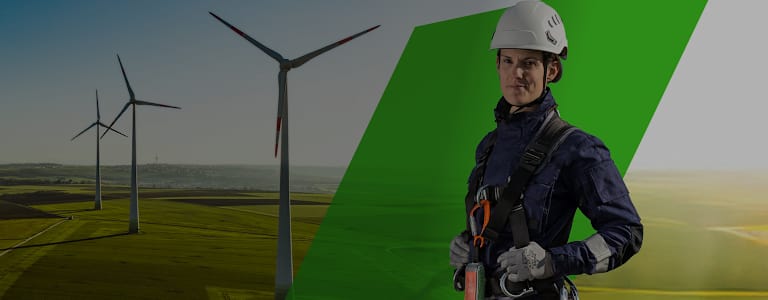 RS - Sektorn för förnybar energi.