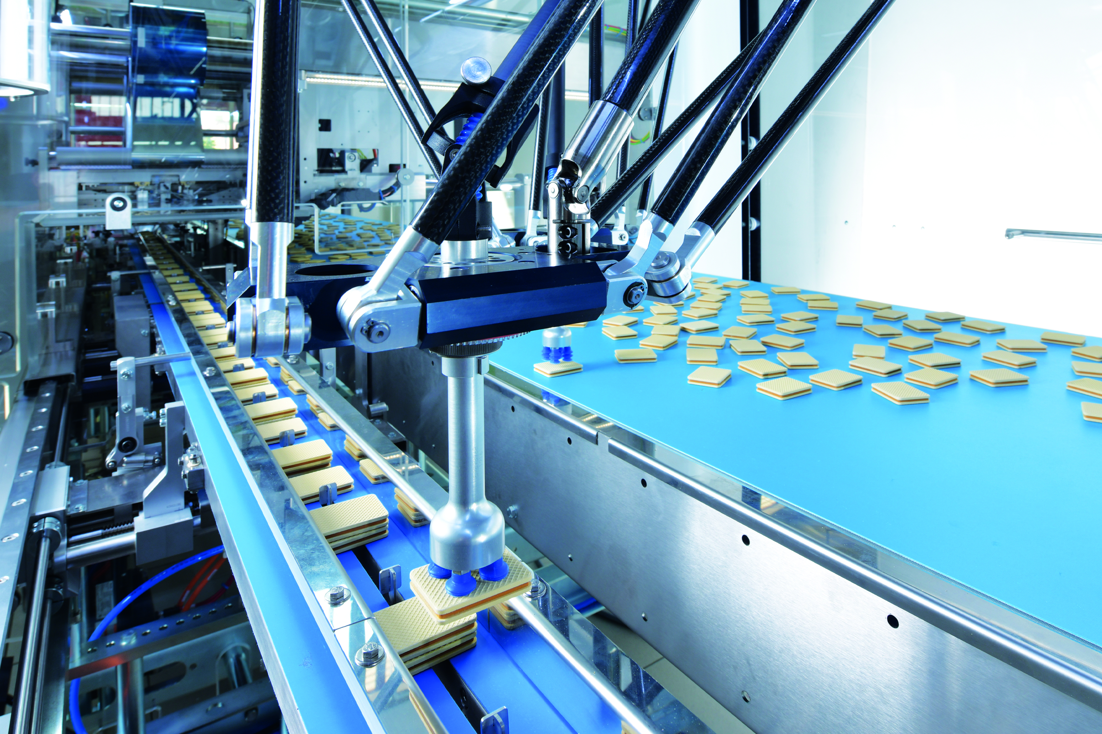 Case Packer  Flexible, Gentle & Fast Case Packing Machine