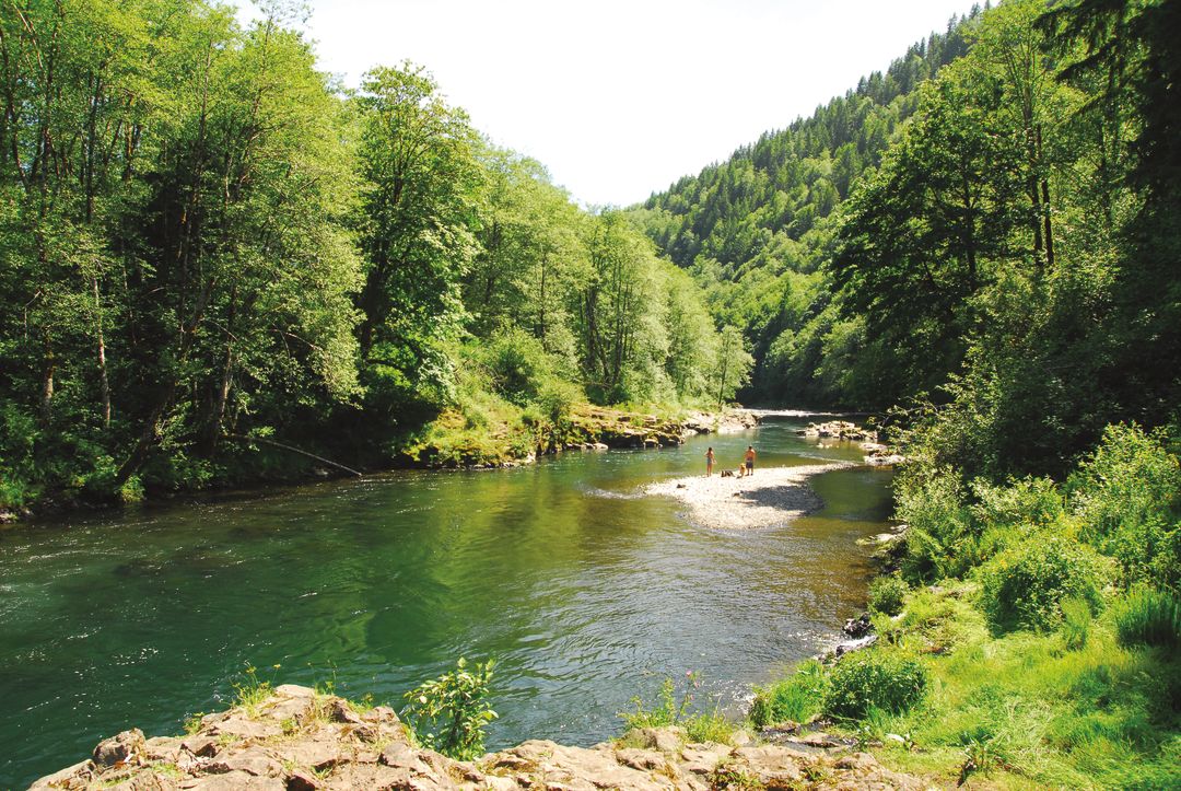 Swimming hole