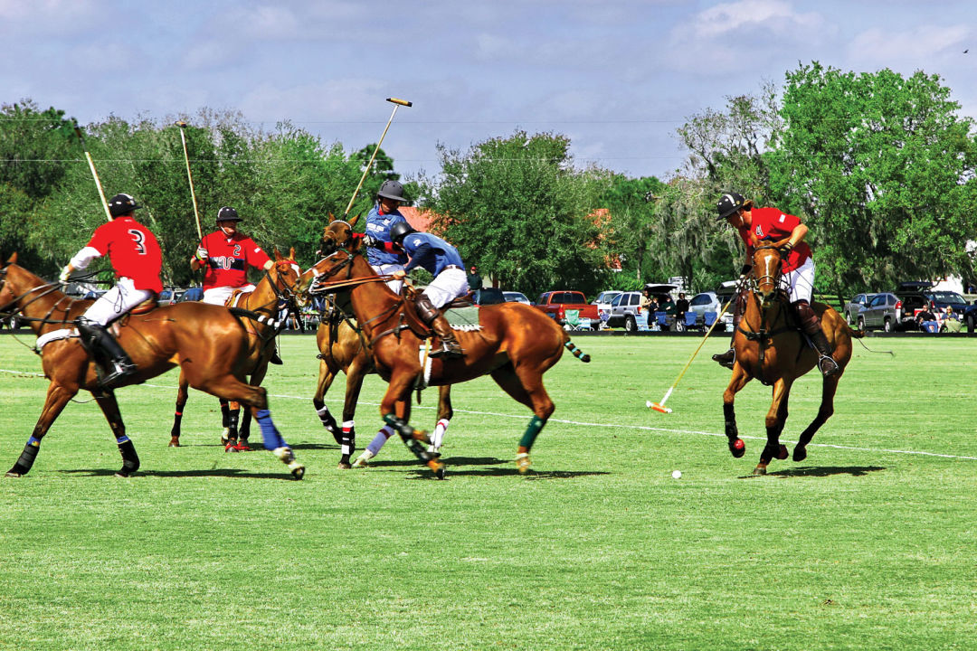 Polo club 1 mynh6o