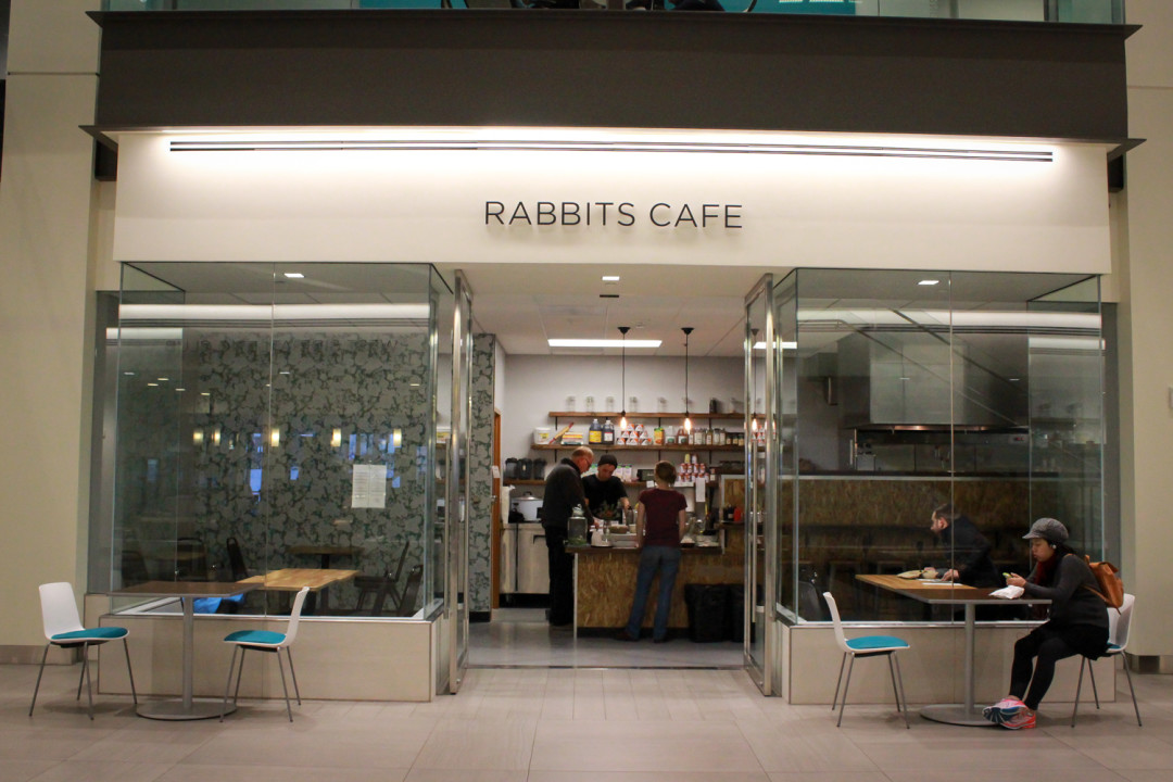 Rabbits 1 zbd5oi