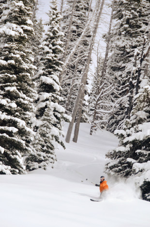 Skier at Anthony Lakes