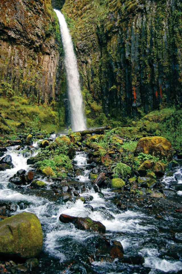 Hike and Bike Tour to Columbia River Gorge Waterfalls