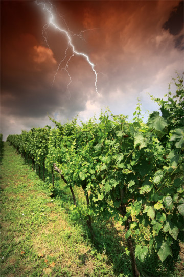 Lightning hitting crops