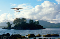 bridgesplane0608.jpg