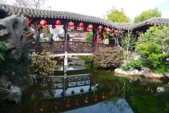 chinese new year, lanterns, portland classical chinese garden, lan su garden,
