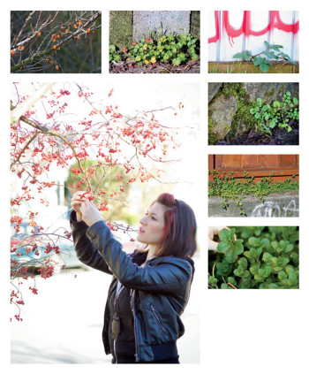 Foraging for food and medicine in Portland