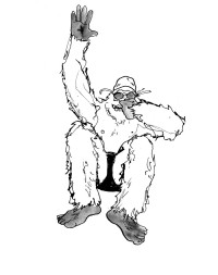 yeti polarsplash