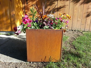 Nice Planter core ten pot