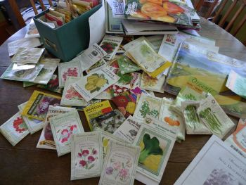 vegetable seeds, seeds, spring starts, vegetables