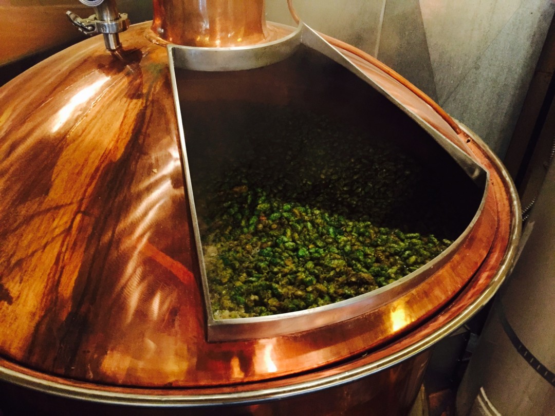 Mcmenamins fresh hop thundercone simcoe 1 fmjabk
