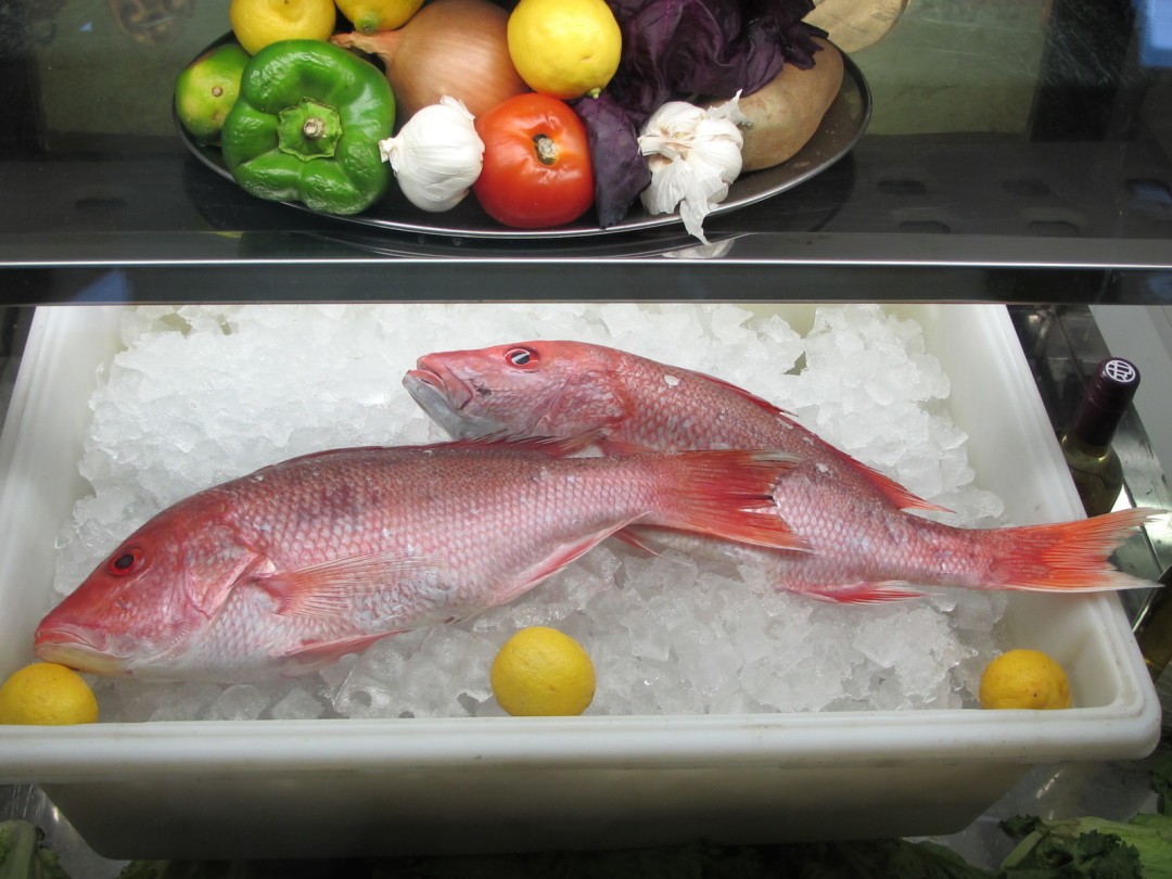 Red Snapper - Locals Seafood