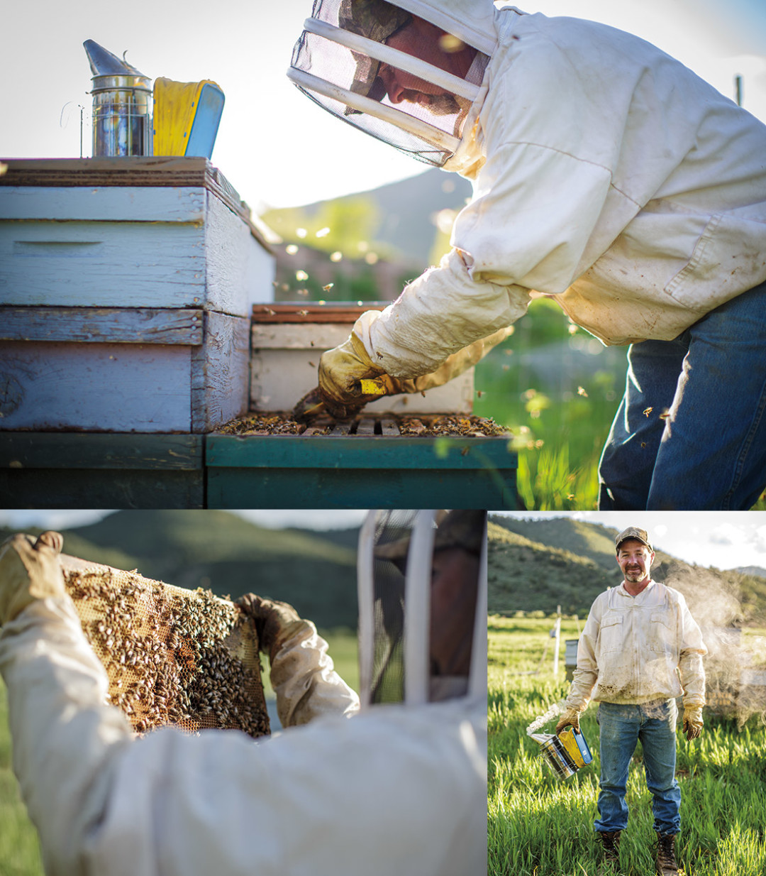 0714 valley farmers bee keepers mg1lpc