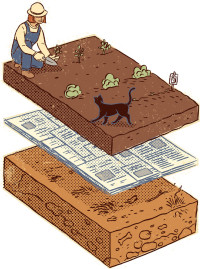 spaces garden edible dirt layering diagram
