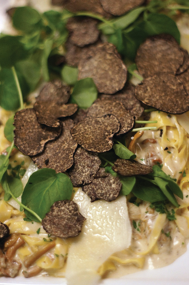 Truffles skjq94