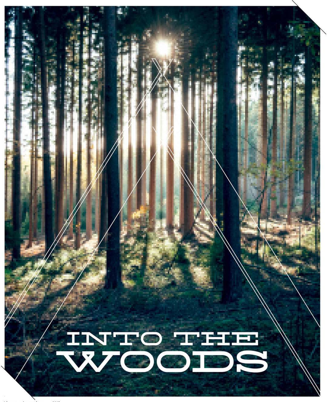 0515 into the woods main ev19oy