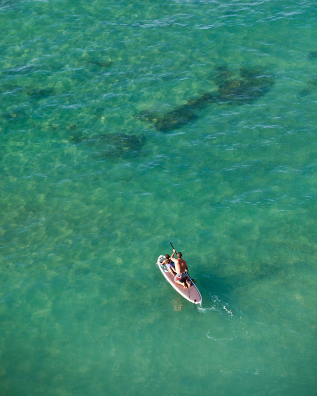 Paddle boarder oahu tzeprk