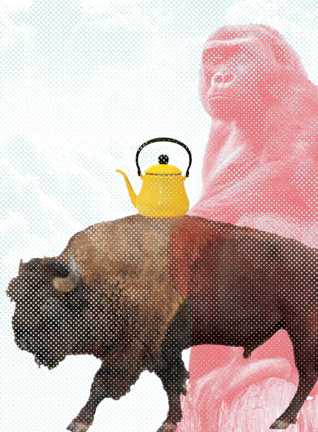 0215 8000 feet gorilla buffalo teapot s2dkup