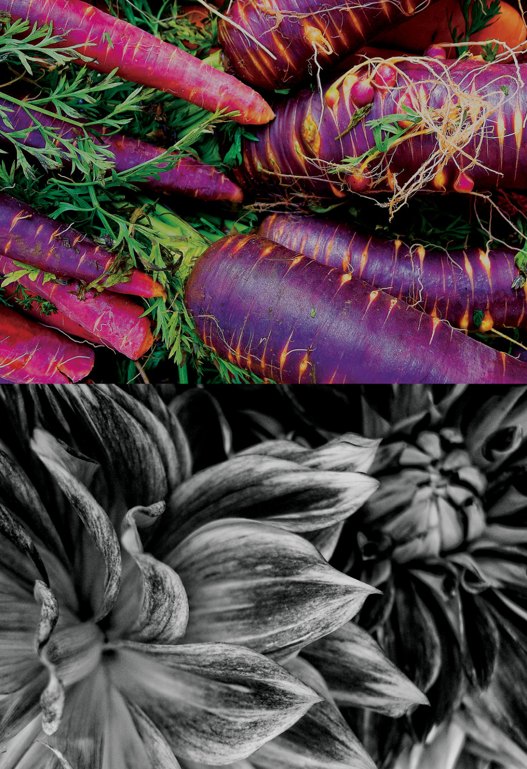 0915 farmers market 04 vup5tw