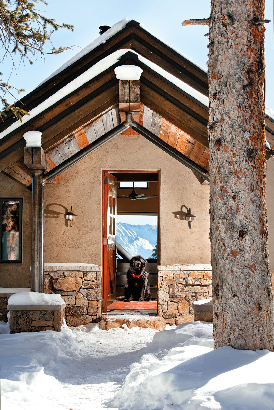 0213 backcountry dog zvdasp