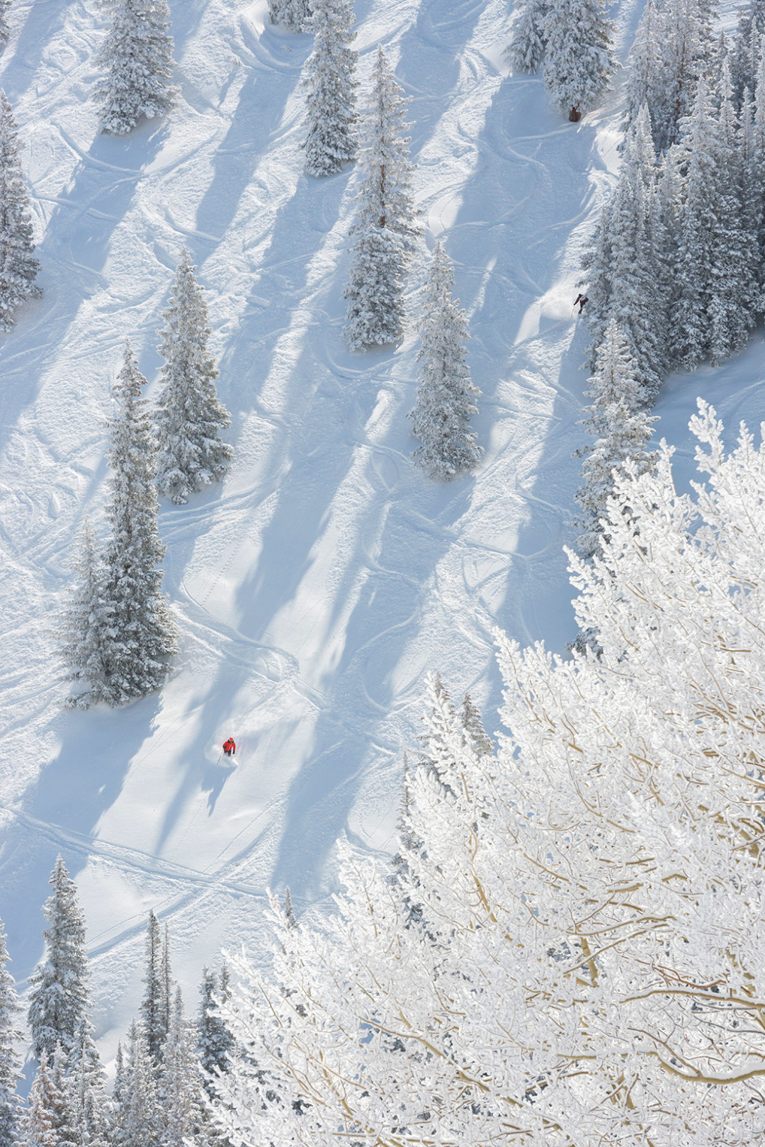 1114 slalom skier iknog2
