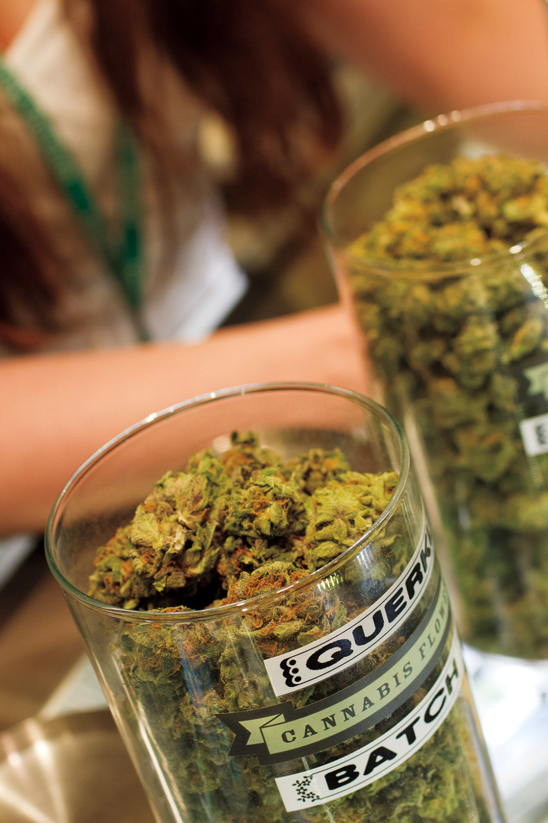 0214 legalized it main xleodz