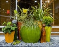 nwfgs pots