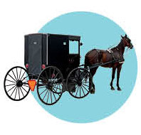 0214 aspen goes grey horse jmdqta