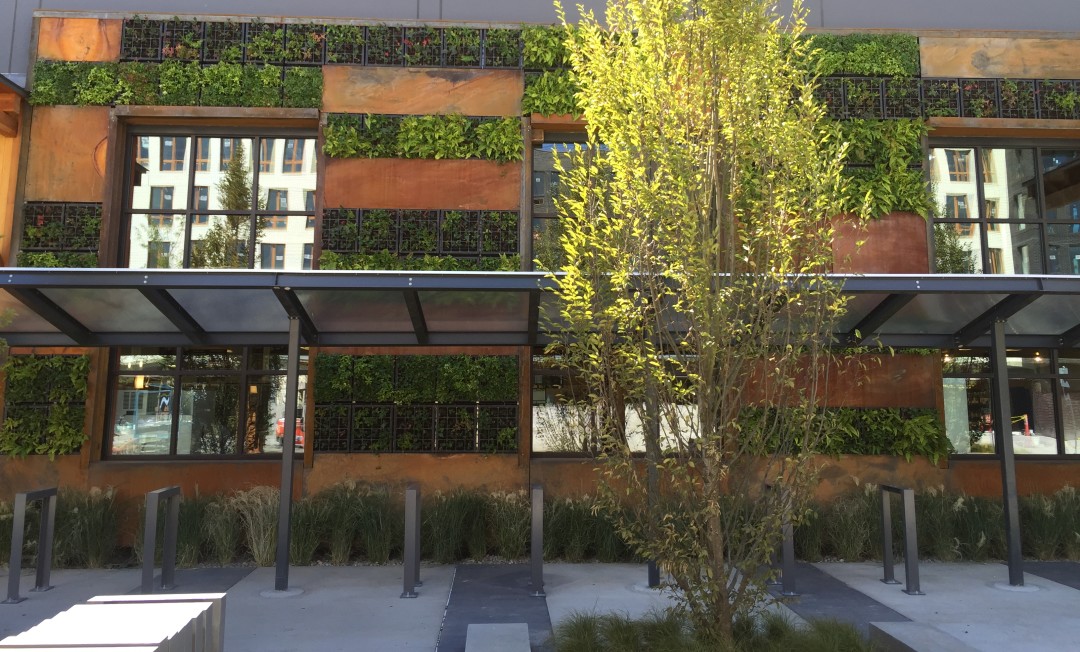Green wall one of many sustainable features nkuynk