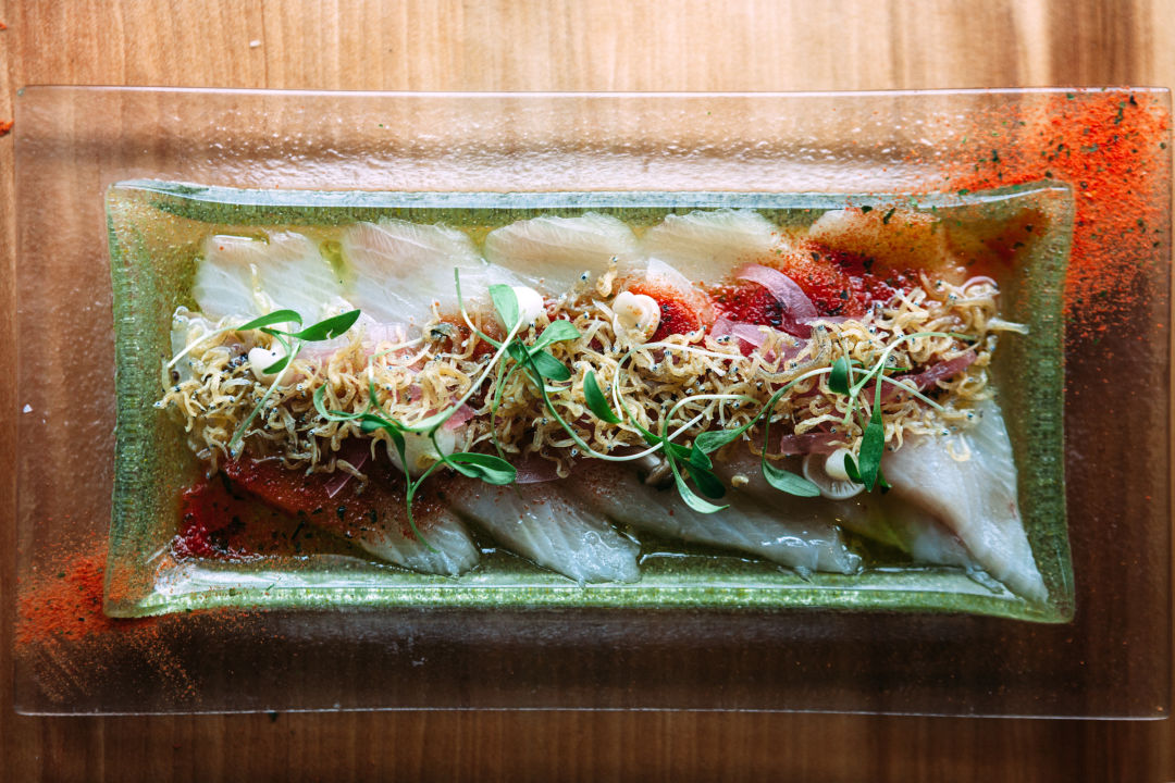 Hamachi 001 jdryee