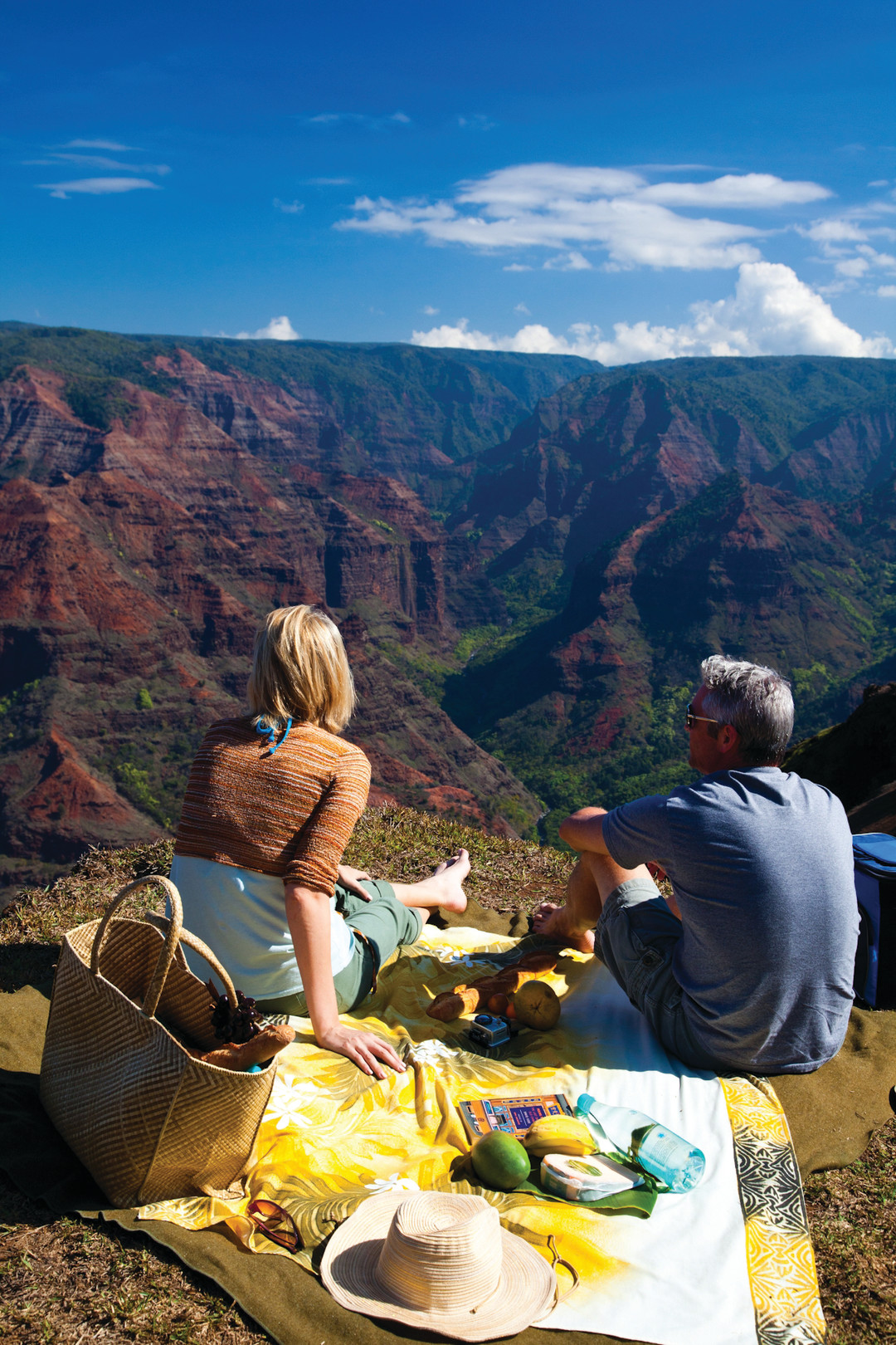 Waimea canyon picnic jp3inw