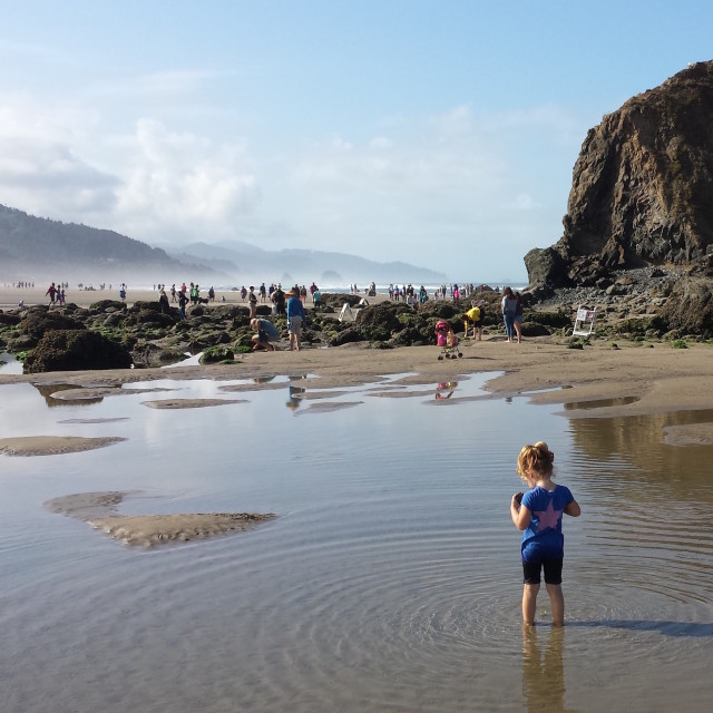 Cannonbeachsummermoment lprhii