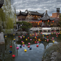 Lan Su lanterns