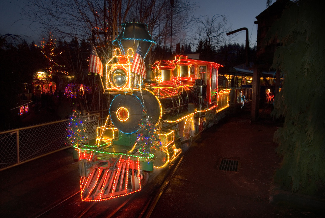 12 15 zoo lights i6mwsn