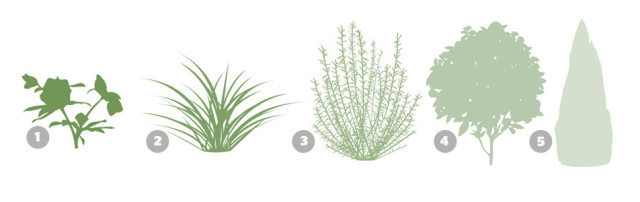 spaces garden beauty privacy plants