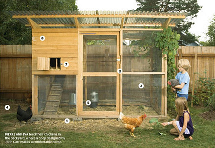 spaces sustain chicken coop